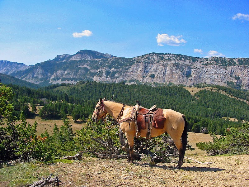 JJJ Wilderness Ranch - Photo 3