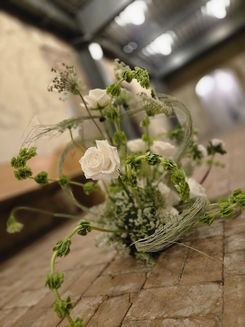 Monroe Street Abbey photo 8