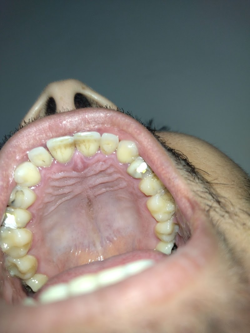 Oralcamp - Especialidades Odontológicas - foto 3