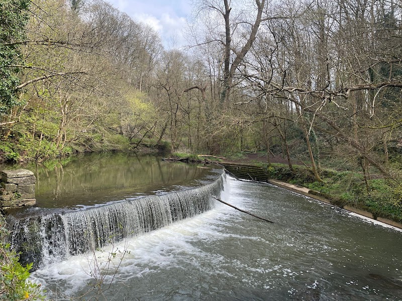 Snuff Mills