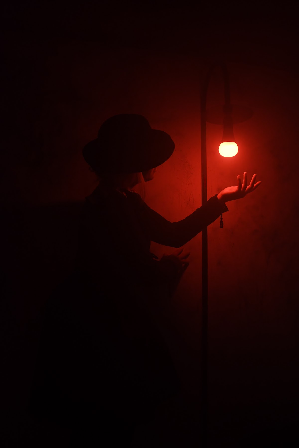 Upside Down Expérience, vue extérieure