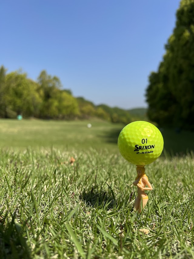 Asahi Kokusai Himeji Golf Club - Photo 7