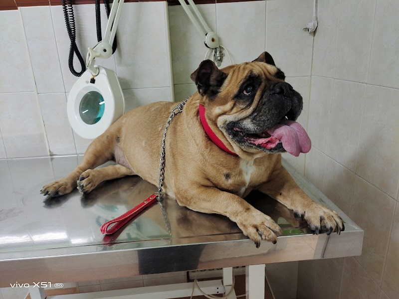 Las Palmeras Clínica Veterinaria