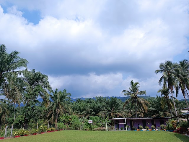 SJK(T) LADANG REPAH photo 2