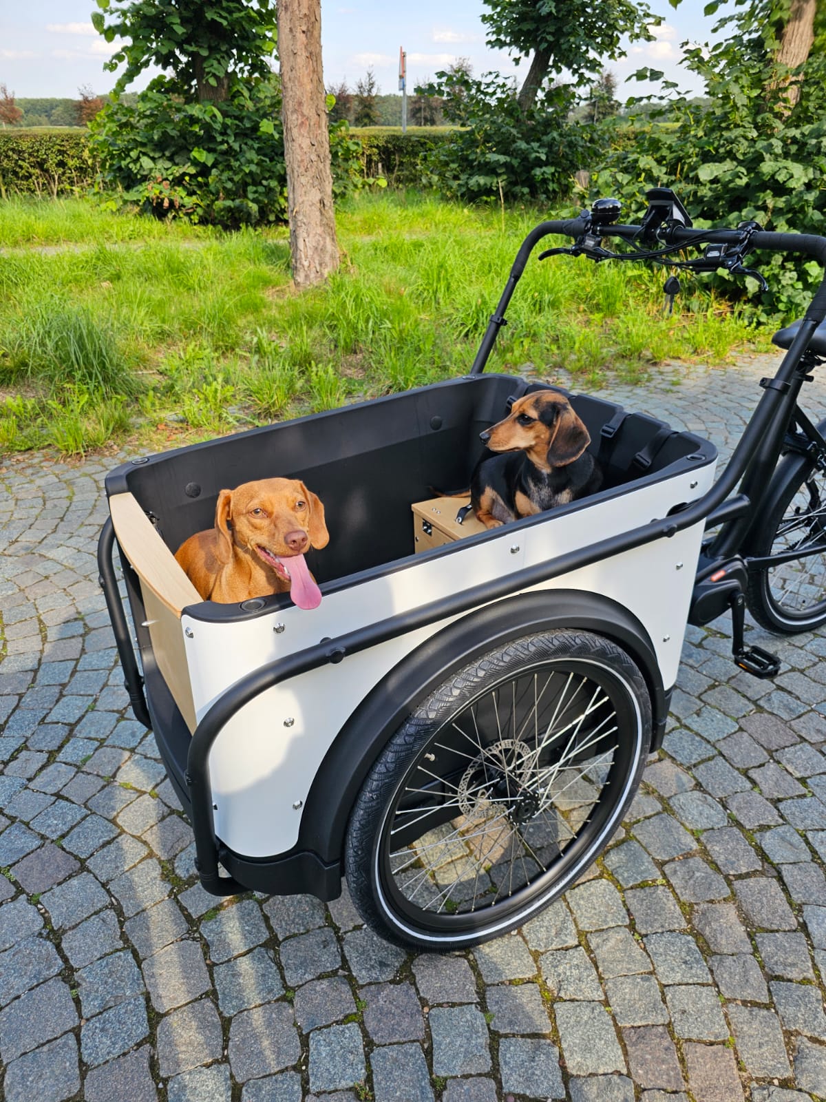 KidsCab fietskar bakfiets BVBA