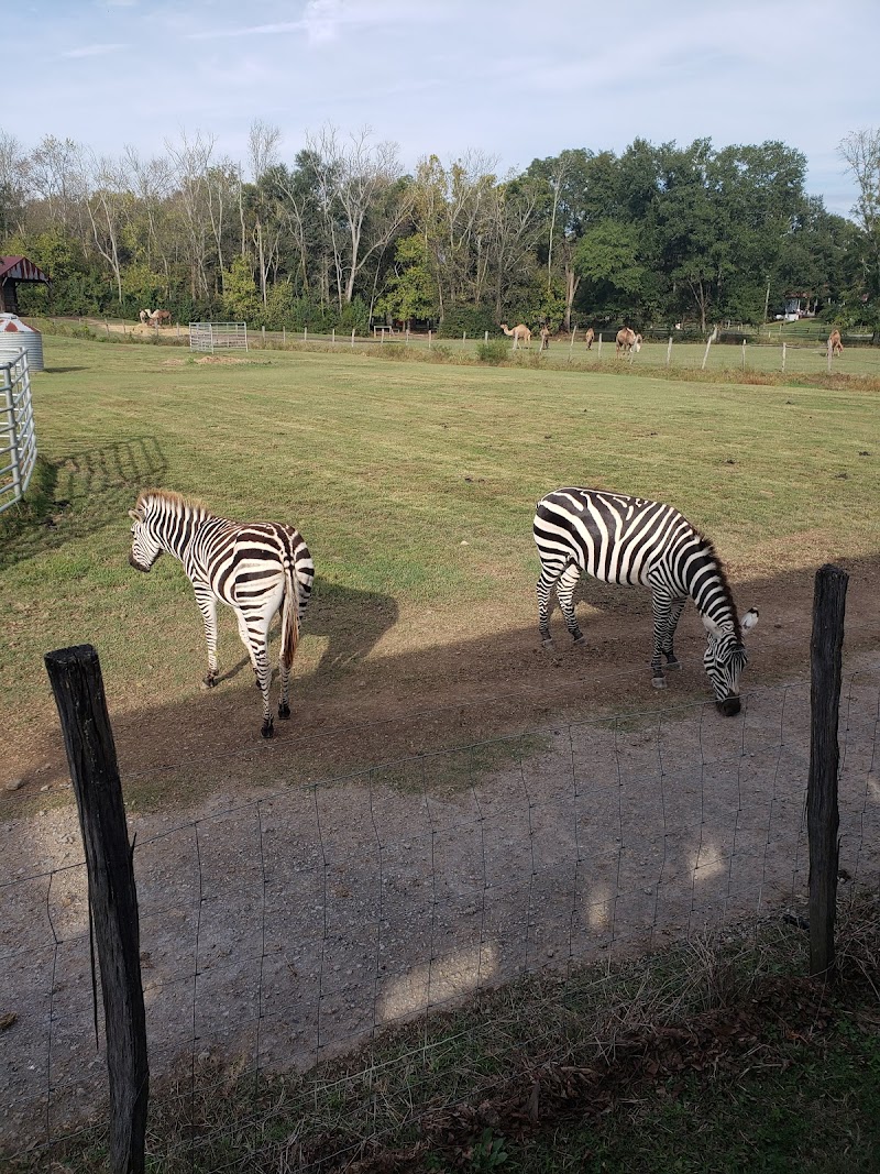 Pettit Creek Farms - Photo 4