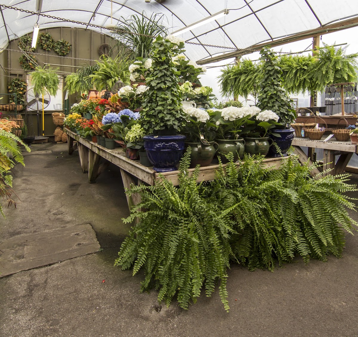Flower Mart: Google Places image 2