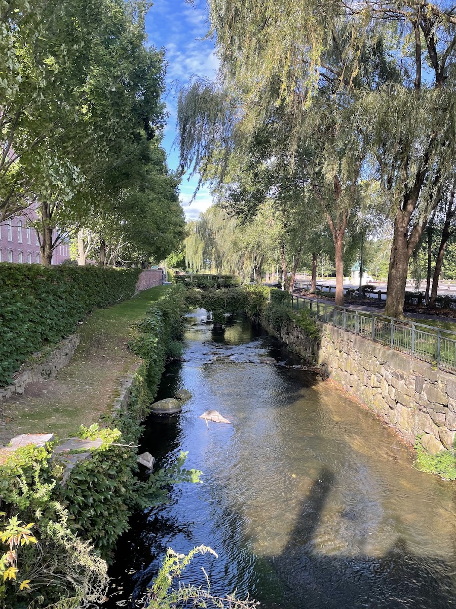 Edge Merrimack River - Photo 7