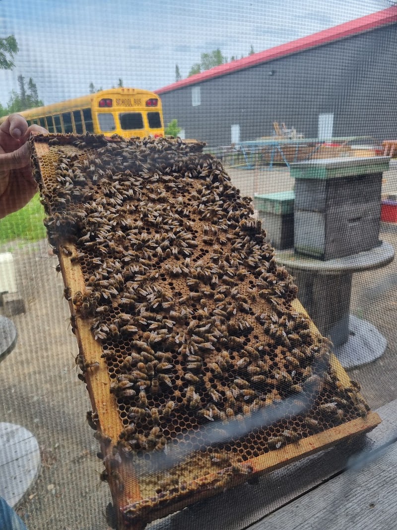 Tuck's Bee Better Farm photo 3