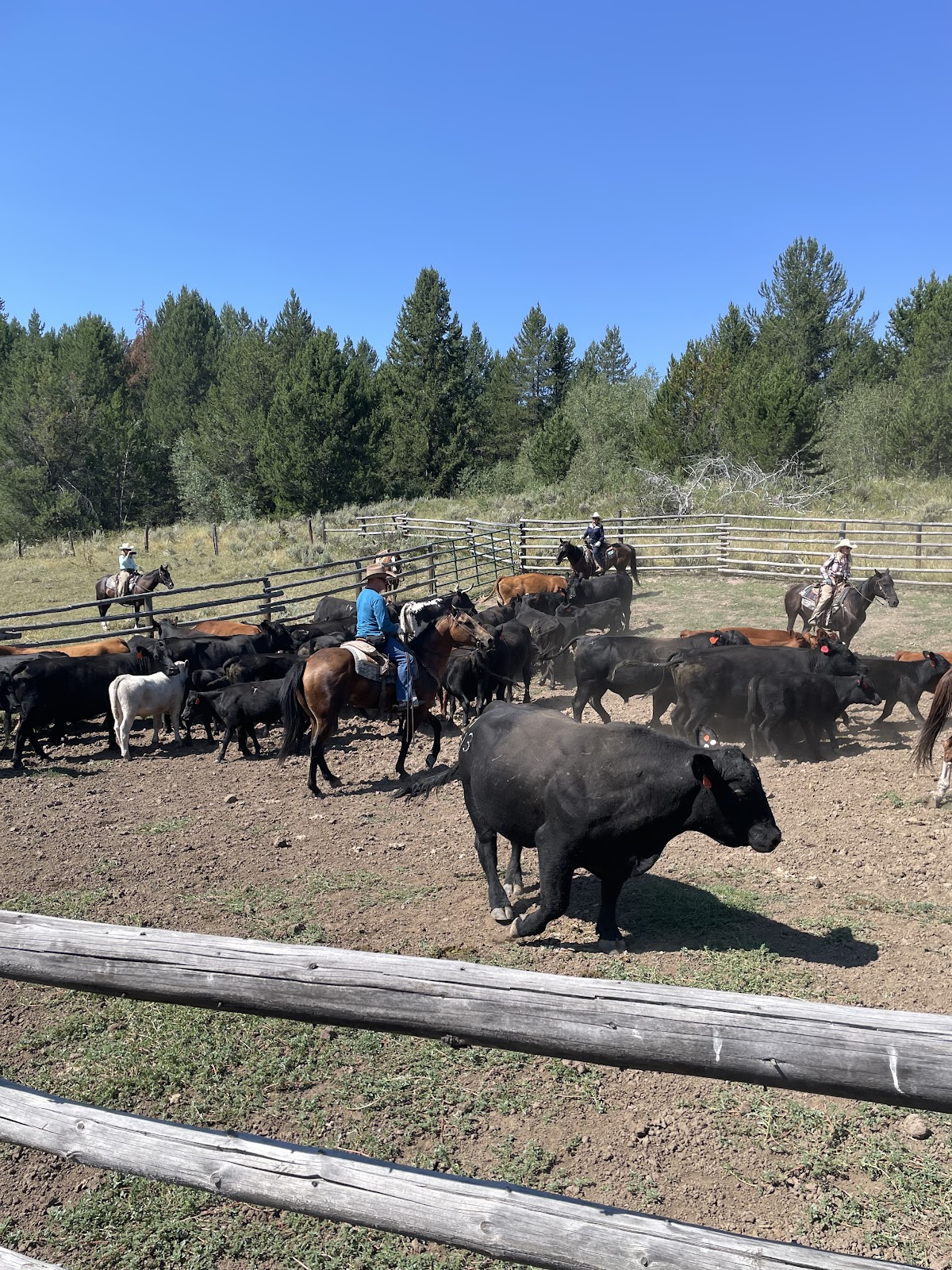 McGarry Ranches LLC