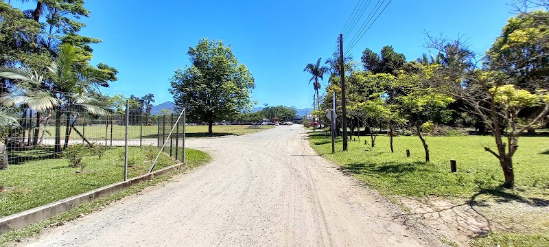 Foto de Dra. Ângela Kazue Kato