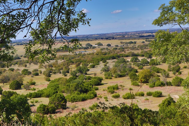 Wild Rocking P Hunting Ranch - Photo 3