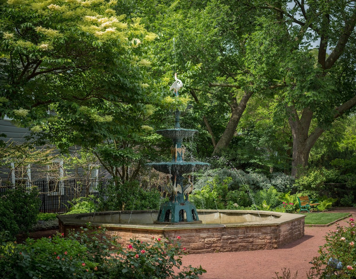 Merrick Rose Garden: Google Places image 3