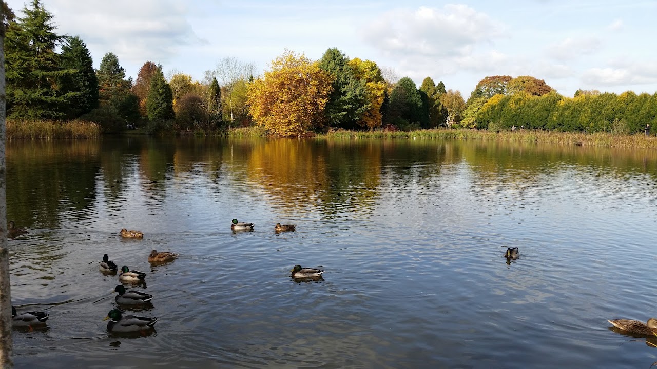 Bodenham Arboretum