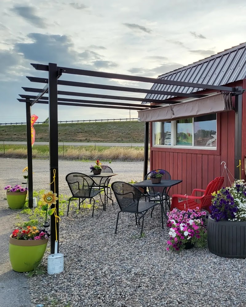 Cup O' Bliss Rigby photo 1