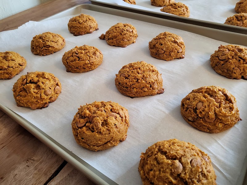 Cup O' Bliss Rigby photo 2