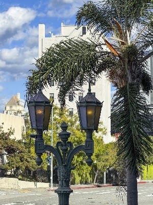 The Hotel Hollywood