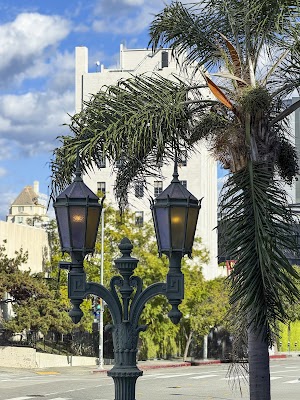 The Hotel Hollywood