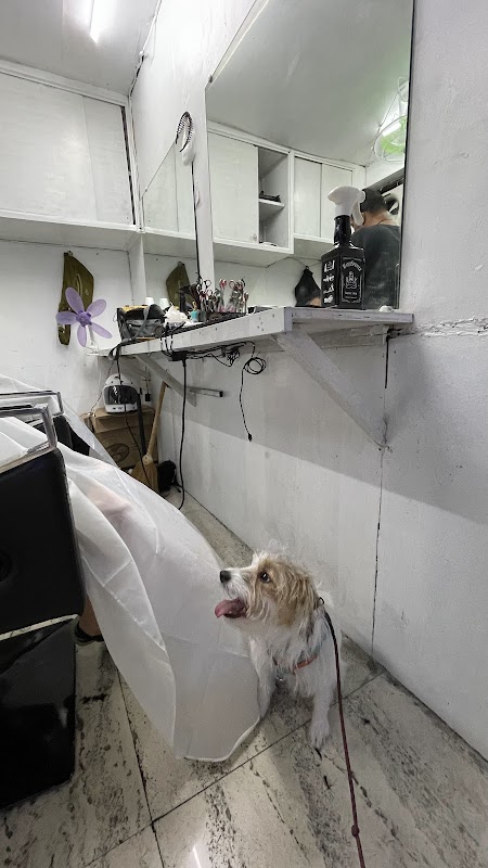 Barbershop