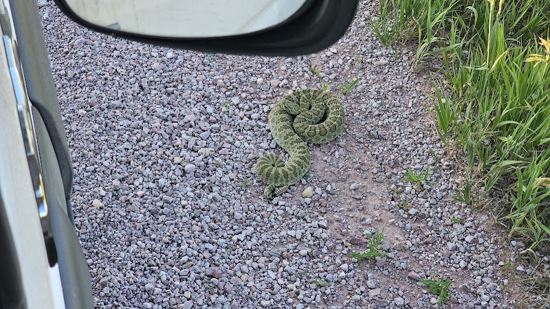 Needles View Ranch - Photo 2