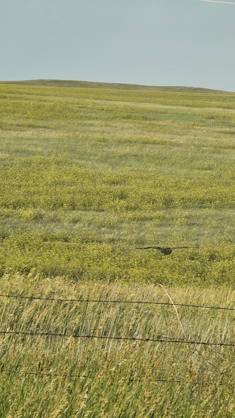 Needles View Ranch - Photo 3