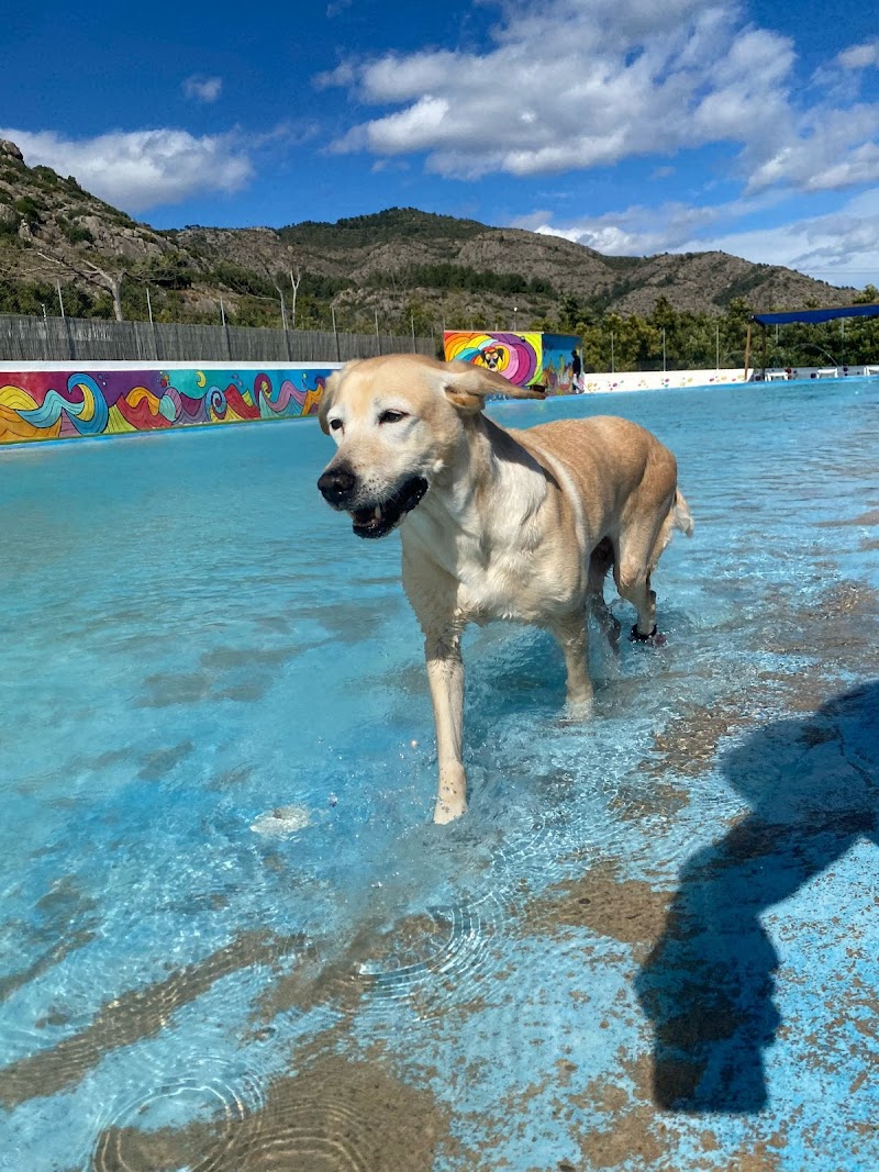 GOS AVENTURA RESORT CON PISCINA (SOLO PARA PERROS HUÉSPEDES)
