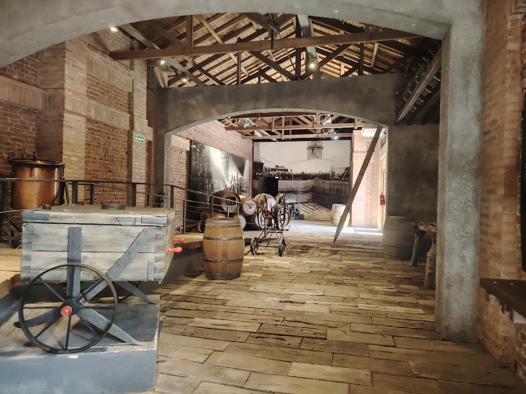 Bodegas y Viñedos Graffigna