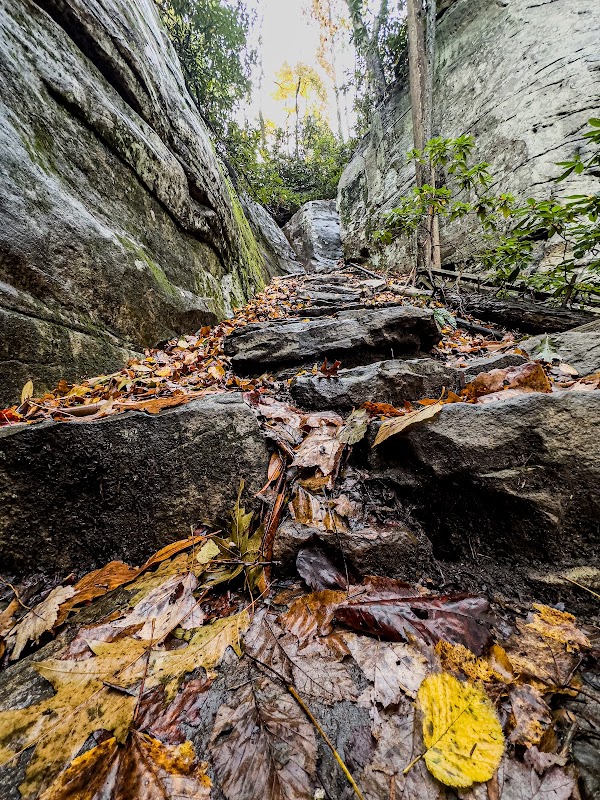 The Adventure Collective’s Guide to Best Climbing Areas & Bouldering Spots