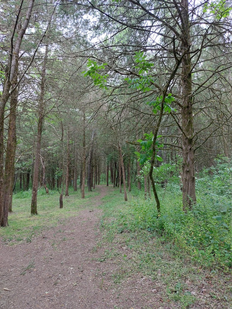 Cramer's Creek Disc Golf photo 2