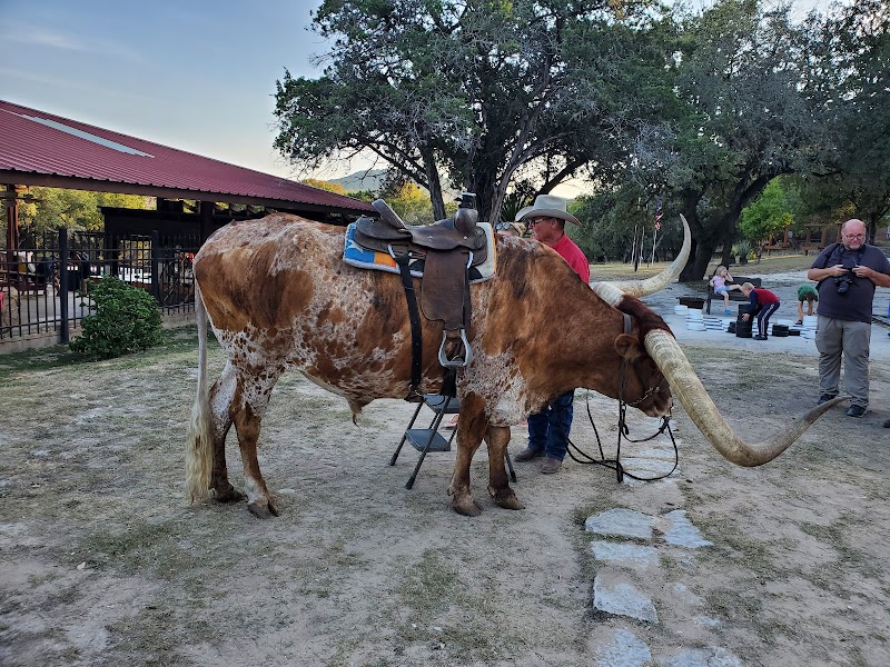 Mayan Dude Ranch - Photo 6