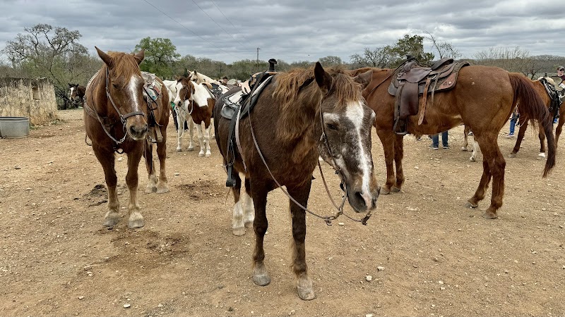 Mayan Dude Ranch - Photo 4