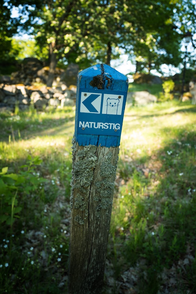 Tjärö