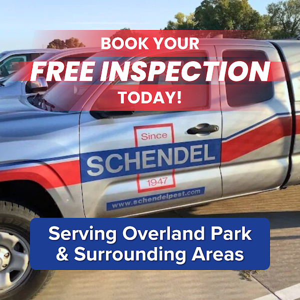 Schendel Pest Services