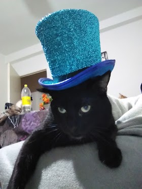 Clinica Veterinaria Moret