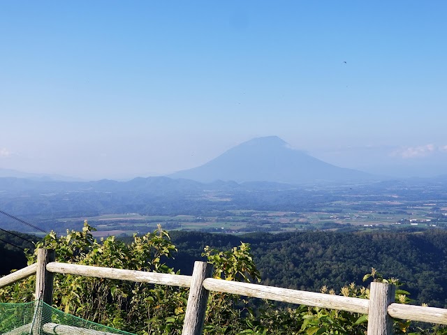 Windsor Great Peak of Toya - Photo 7