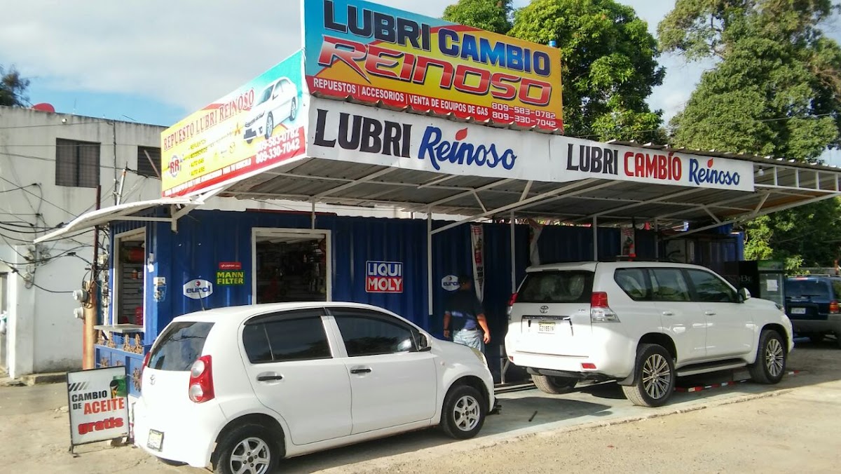 Repuesto Lubri Reinoso - Imagen 1