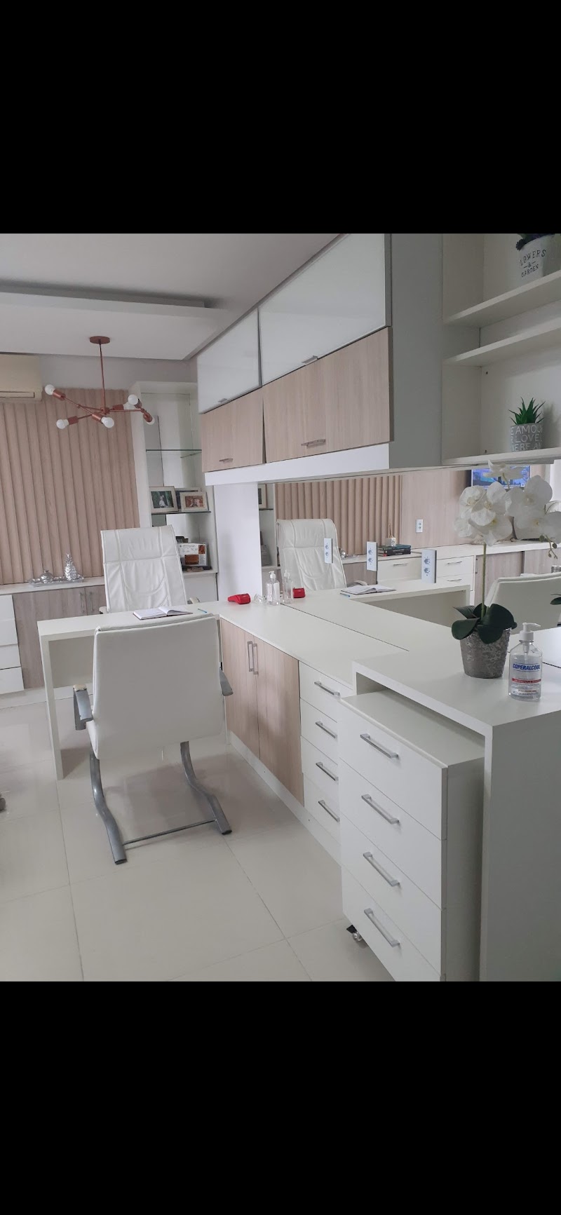 Dra Vanessa de Vasconcelos - foto 3