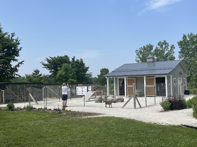 Elawa Farm Cafe photo 3