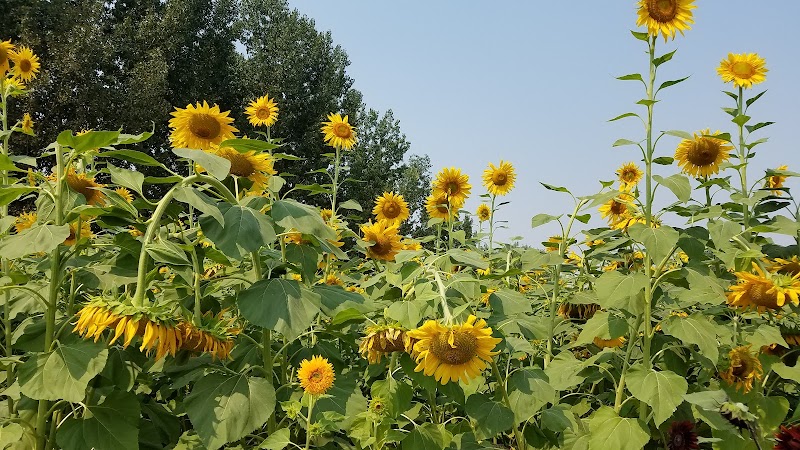 Lattin Farms - Photo 2