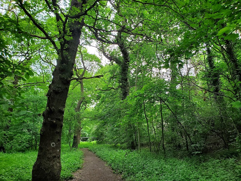 Cow Plantation Local Nature Reserve