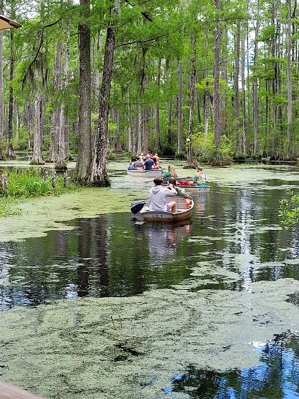 Cypress Gardens Road 1