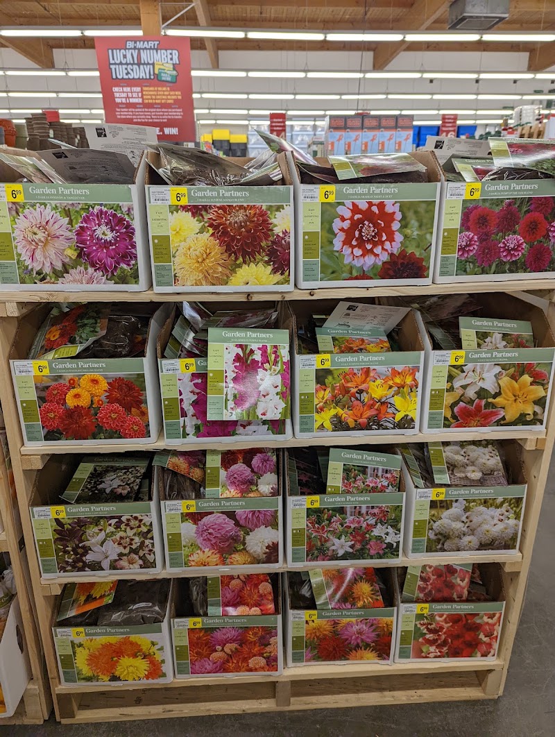 Bi-Mart #621 photo
