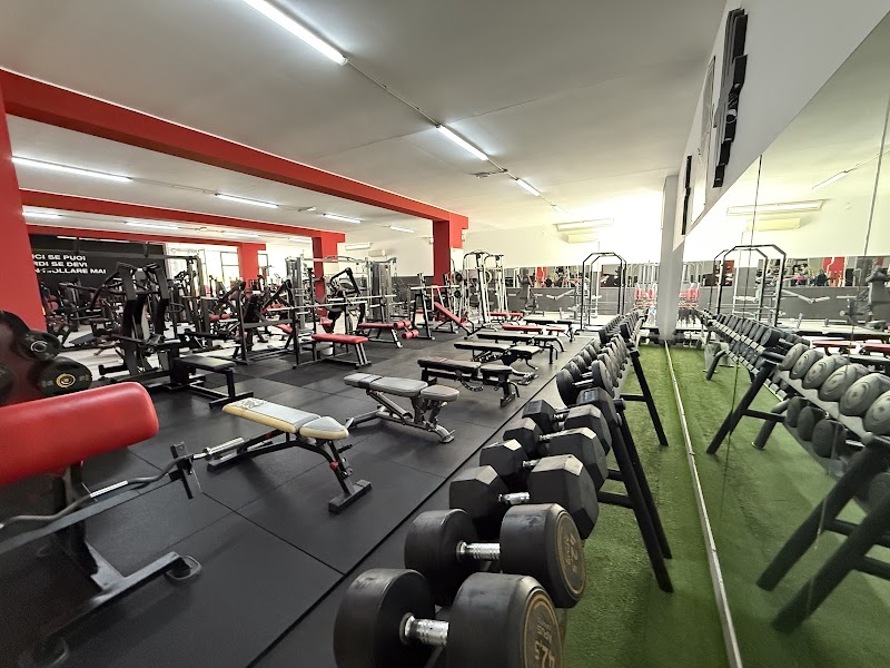 Evolution Gym