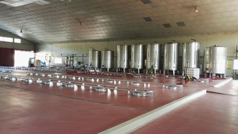 Bodegas Arnoya photo 1