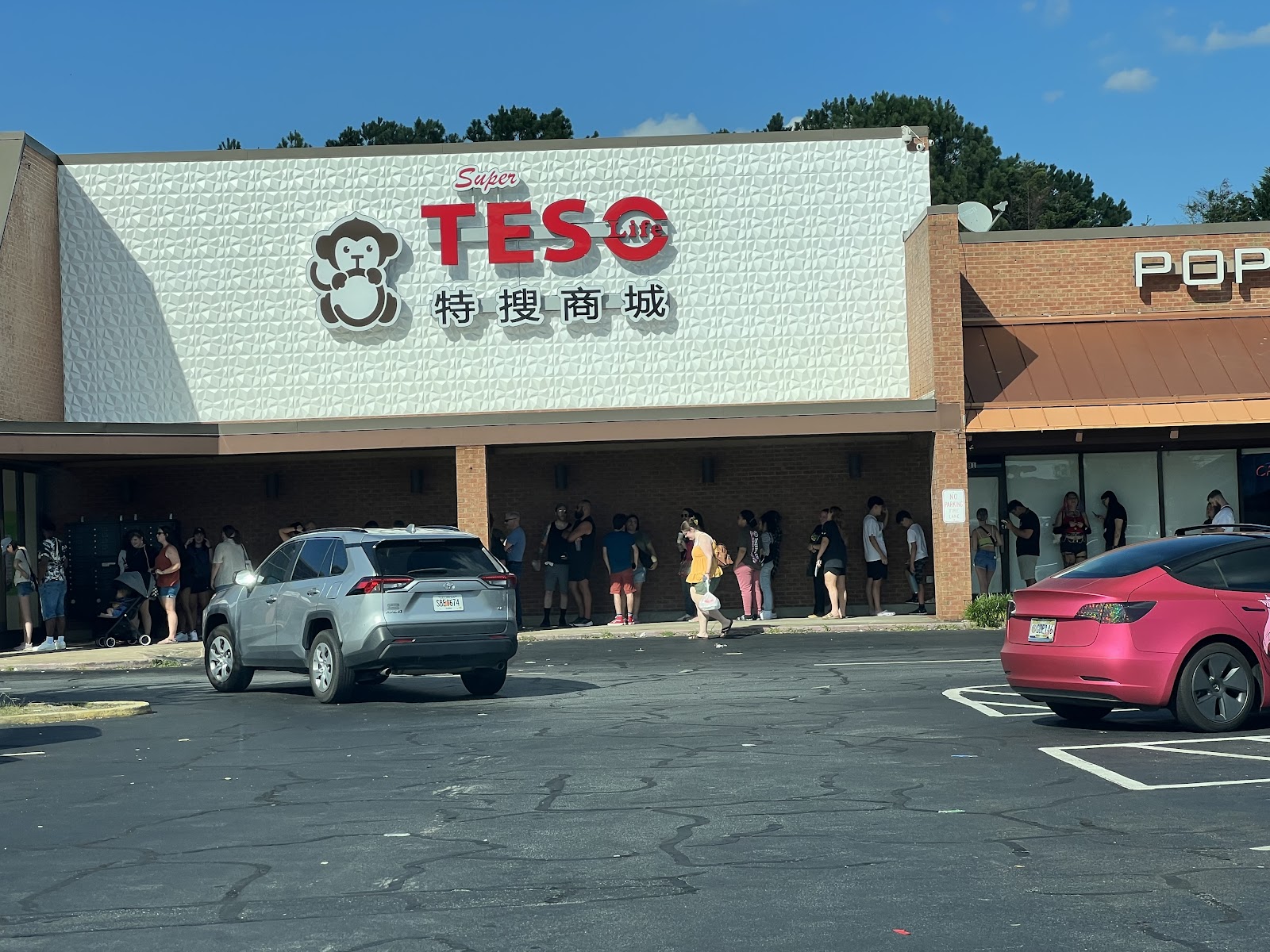 TESO LIFE