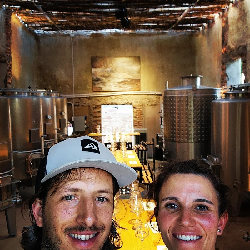 Elefante Wines