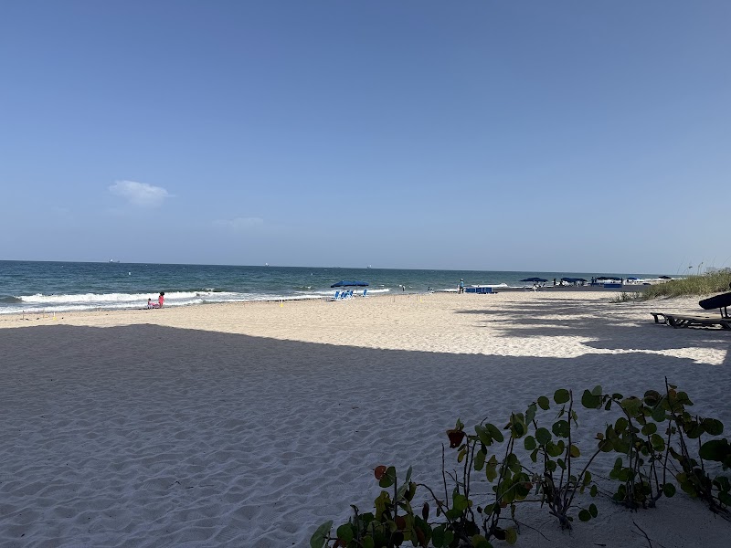 Sandbar Grill photo 7