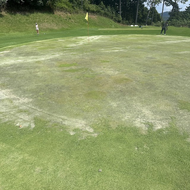 Shinshiro Country Club - Photo 5