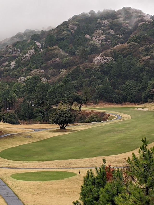 Shinshiro Country Club - Photo 7
