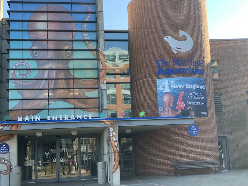 The Maritime Aquarium at Norwalk photo 4